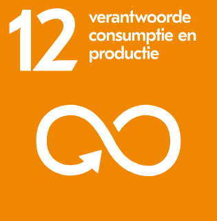 sdg, verantwoorde consumtpie en productie