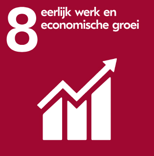 sdg, eerlijk werk en economische groei