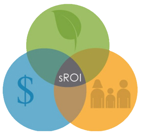 sRoi, Social return on investment